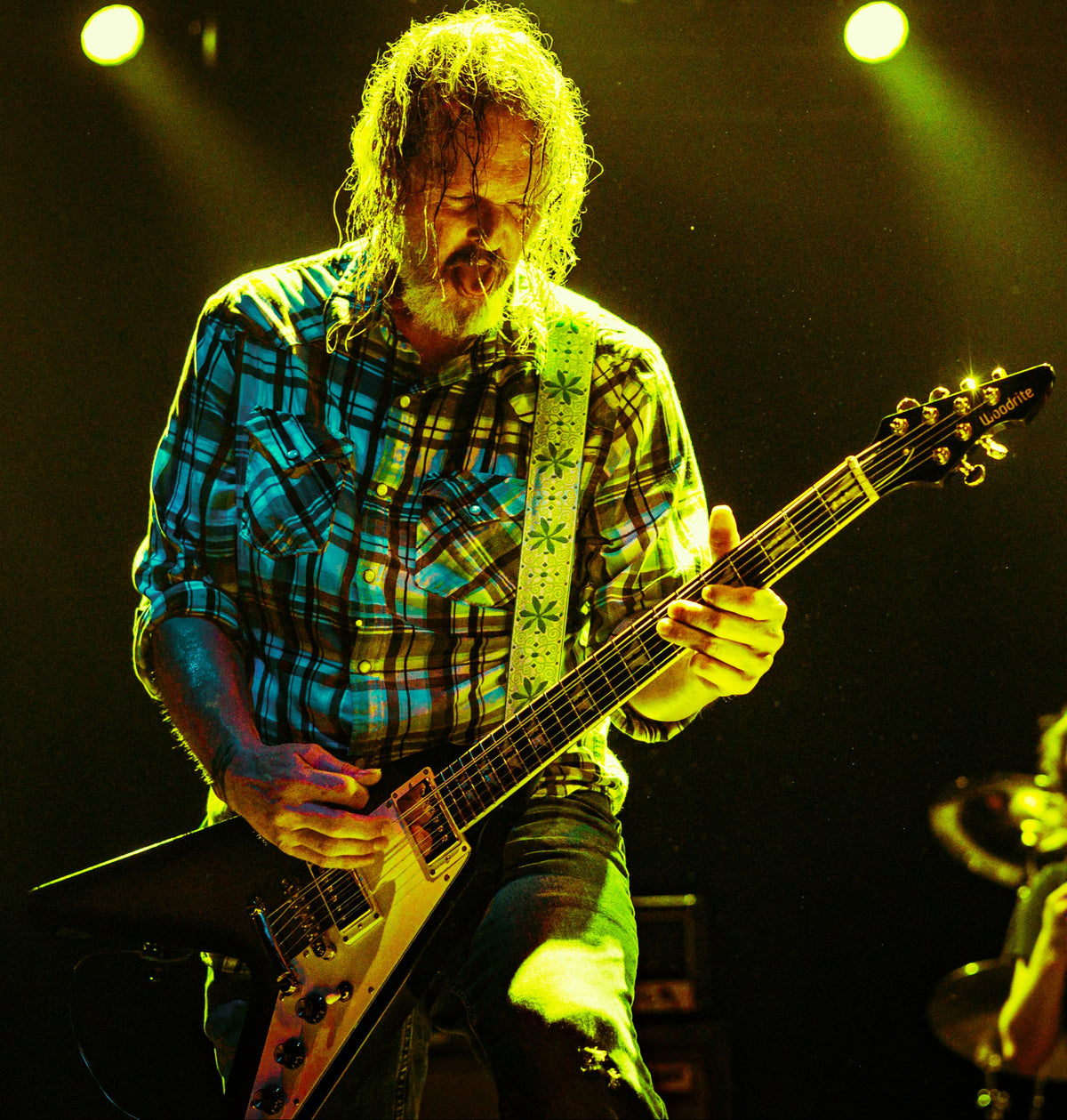 Artist – Woodrite Guitars